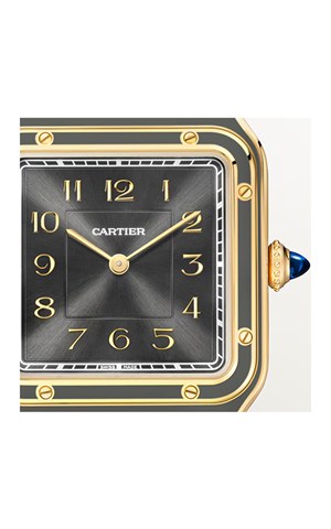 Cartier WGSA0097 Watches