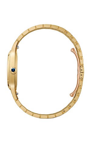 Cartier Santos Dumont