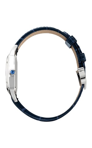 Cartier WSSA0086 Watches