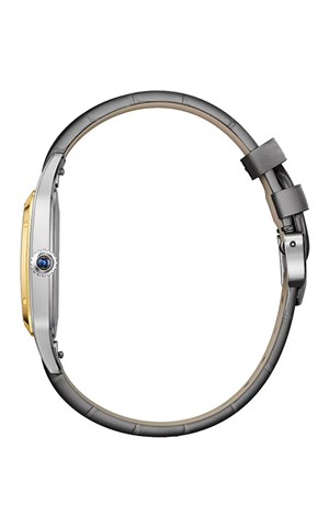 Cartier W2SA0046 Watches