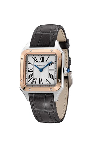 Cartier Santos Dumont