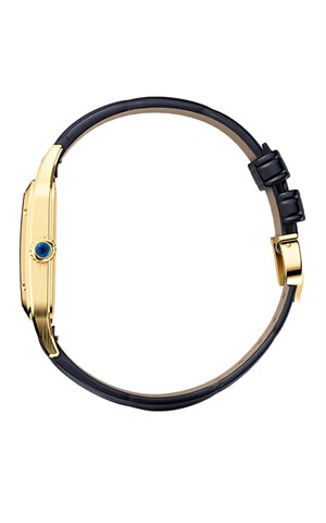 Cartier WGSA0115 Watches