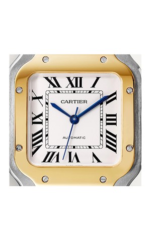 Cartier W2SA0016 Santos Watches