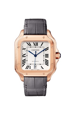 Cartier WGSA0019 Santos Watches