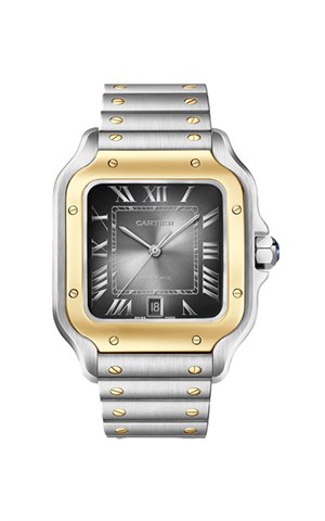 Cartier Santos