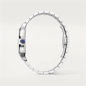 Cartier WHSA0015 Santos Watches