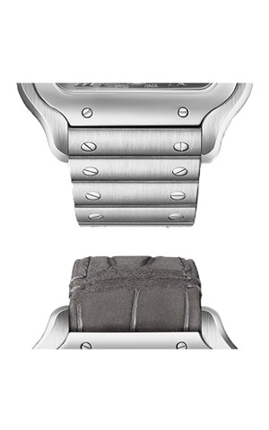 Cartier WSSA0076 Santos Watches