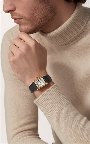 Cartier WGTA0343 Tank Louis Watches