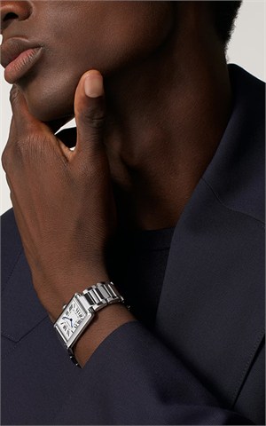 Cartier WSTA0122 Watches
