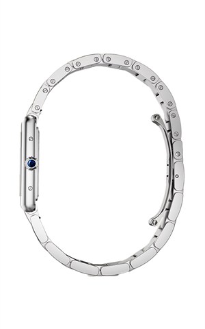 Cartier WSTA0122 Watches
