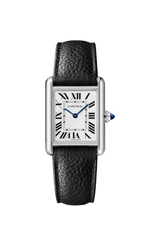 Cartier WSTA0120 Watches
