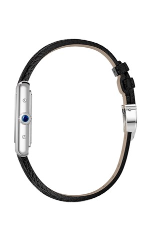 Cartier WSTA0119 Watches