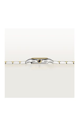 Cartier W2PN0018 Panthere Watches