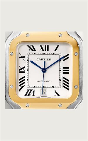 Cartier -W2SA0009- Kol Saati
