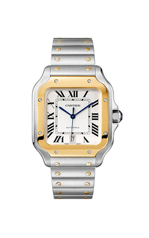 Cartier W2SA0009 Santos Erkek Kol Saati
