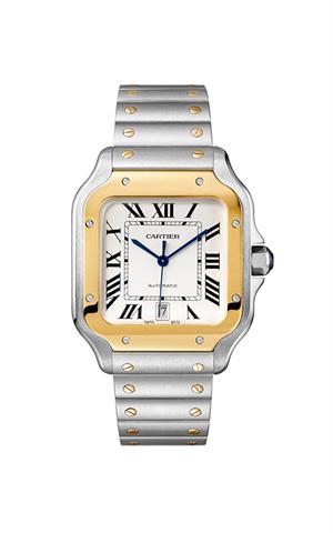 Cartier -W2SA0009- Kol Saati