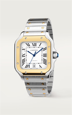 Cartier W2SA0009 Santos Erkek Kol Saati