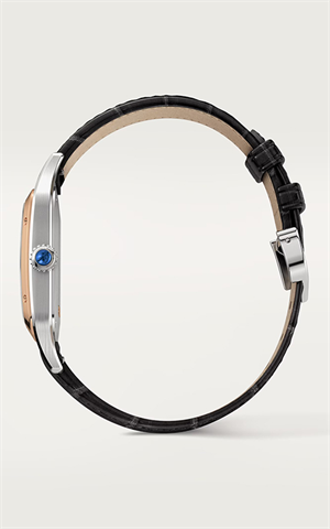 Cartier W2SA0011 Santos Dumont Erkek Kol Saati