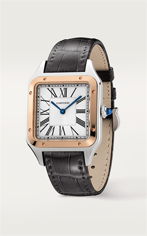 Cartier W2SA0011 Santos Dumont Erkek Kol Saati