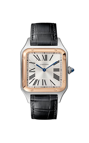 Cartier W2SA0011 Santos Dumont Erkek Kol Saati