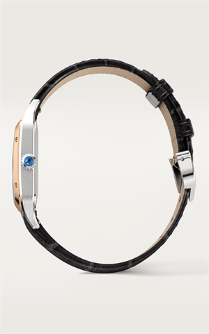 Cartier W2SA0012 Santos Dumont Kadın Kol Saati