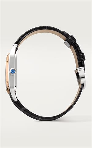 Cartier -W2SA0012- Kol Saati