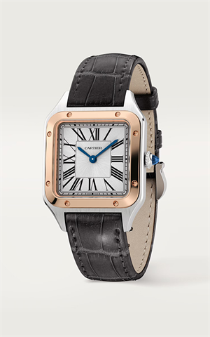Cartier W2SA0012 Santos Dumont Kadın Kol Saati