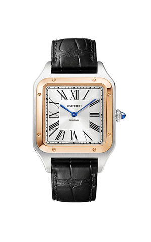 Cartier W2SA0017 Santos Dumont Erkek Kol Saati