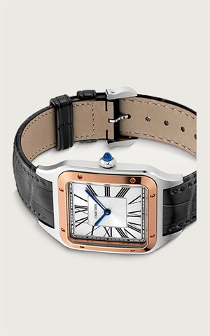Cartier W2SA0017 Santos Dumont Erkek Kol Saati