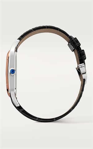 Cartier W2SA0017 Santos Dumont Erkek Kol Saati