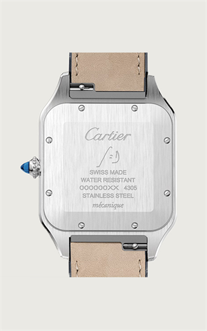 Cartier W2SA0017 Santos Dumont Erkek Kol Saati