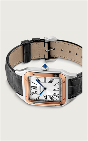 Cartier W2SA0017 Santos Dumont Erkek Kol Saati