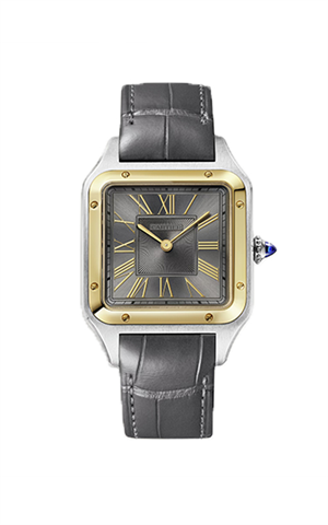 Cartier W2SA0028 Santos Dumont Erkek Kol Saati