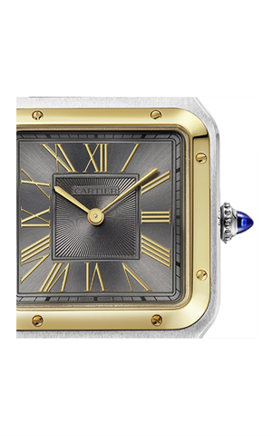 Cartier W2SA0028 Santos Dumont Erkek Kol Saati