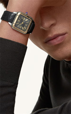 Cartier W2SA0028 Santos Dumont Erkek Kol Saati