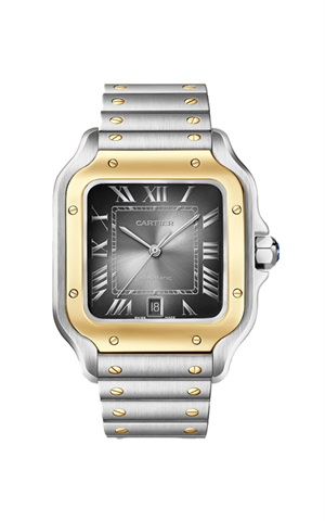 Cartier W2SA0030 Santos Erkek Kol Saati