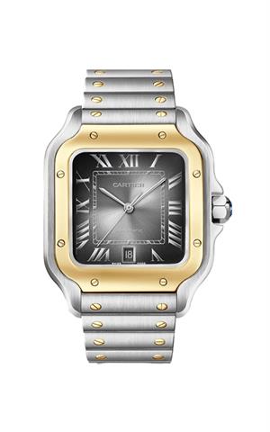 Cartier -W2SA0030- Kol Saati