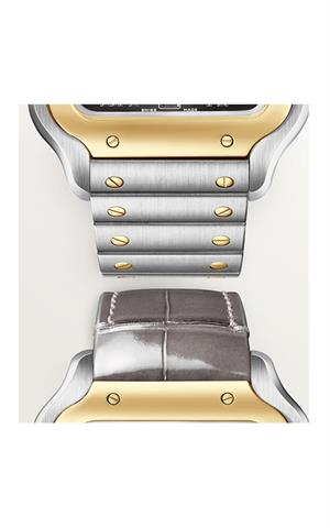 Cartier -W2SA0030- Kol Saati