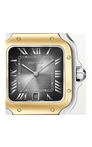 Cartier W2SA0030 Santos Erkek Kol Saati