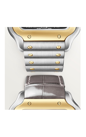 Cartier W2SA0030 Santos Erkek Kol Saati