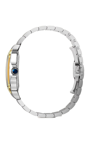 Cartier W2SA0030 Santos Erkek Kol Saati