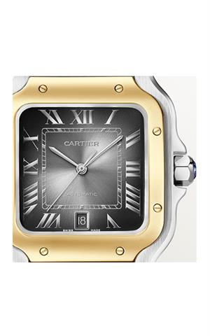 Cartier -W2SA0030- Kol Saati