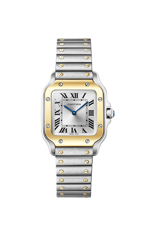 Cartier W2SA0033 Santos Kadın Kol Saati