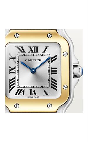 Cartier -W2SA0033- Kol Saati