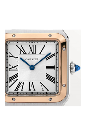 Cartier W2SA0037 Santos Dumont Erkek Kol Saati
