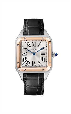 Cartier W2SA0037 Santos Dumont Erkek Kol Saati