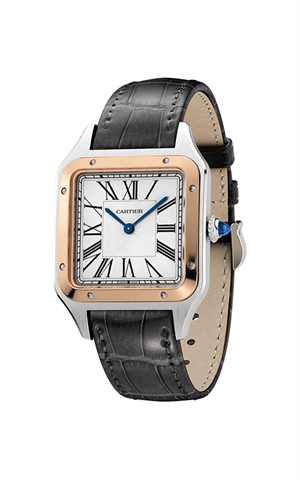 Cartier W2SA0037 Santos Dumont Erkek Kol Saati