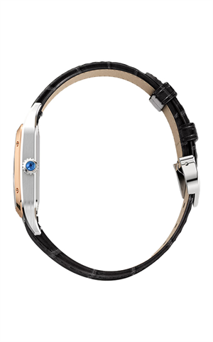 Cartier W2SA0038 Santos Dumont Kadın Kol Saati