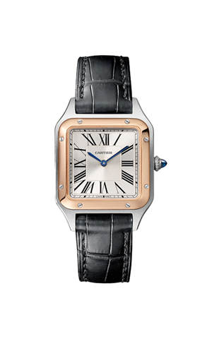 Cartier W2SA0038 Santos Dumont Kadın Kol Saati