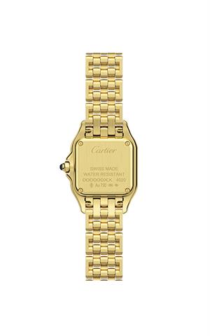 Cartier -WGPN0038- Kol Saati